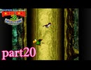 今度はドンキーとディディーを探せ！【スーパードンキーコング3実況part20】