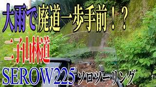 【ななまる日記】セロー225で行く、大雨の後の二子山林道は危険がいっぱい