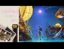 ファインダーを覗いて【The Star Named EOS ～未明の軌跡へ～ #01】
