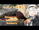 【紲星あかりの3K動画】レバノン料理 汽