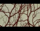 『病みロック』　レイトＰ