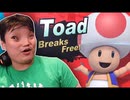 [Hobo Bros]私が実現するよう願っているスマブラミーム