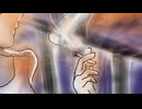 バカと煙 / 巡音ルカ