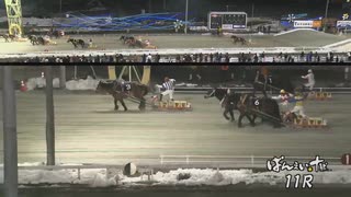 第46回チャンピオンカップ メムロボブサップ