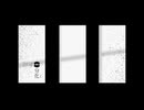 二分化 /めろう