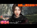 【真・三國無双ORIGINS#34】夢も未来も覚悟も、ついでに白鸞も要らないから一緒にいてほしいんですけど【ネタバレあり】【Dynasty Warriors: Origins Walkthrough】