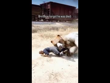 ホモと見る列車にひかれた衝撃で生き返るクマ