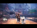 【MHW:IceBorne】#74