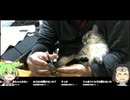 【配信切り抜き】猫の爪を切る