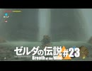 【ゆっくり実況】マスターモードで遊ぶブレワイ#23