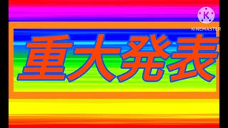 重大発表（？）でも一応みていって！！
