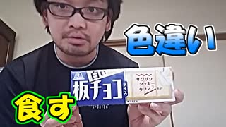 【実写】色違いな板チョコアイス 白い板チョコアイスを食してみた！