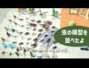 【まったり実況】あつまれどうぶつの森【関西のおばちゃん】#565