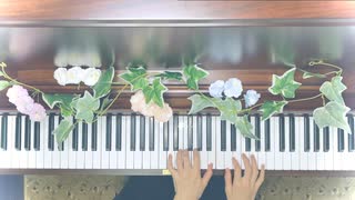 【Day73】-『澄んだ朝』 薮崎太郎の一日一曲アンビエント