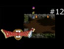 悲しみの落とし穴【SFC版ドラゴンクエストII 実況プレイ】part12