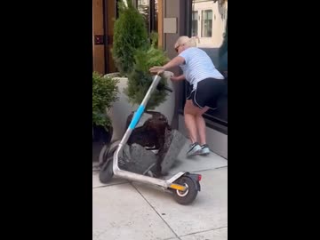 キックボードババアvs植木鉢くん