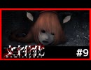 【文字化化】異界で言語解読しつつ恋愛しつつ脱出したくて.....#9【ゲーム実況】