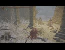 エルデンリング RMDライジングマストダイ侵入Part 20