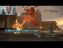 FF13-224