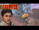 ついに決着！最強の敵に一人で立ち向かう花山薫【モンハンワイルズ】OB