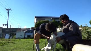 ファーマーズマーケット