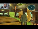 FF13-256