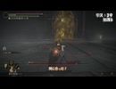 【ELDEN RING】左スティック封印でDLC初見プレイ part3
