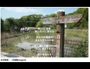 永井龍雲さんの『お遍路』KaZoo YOKOさんが配信！