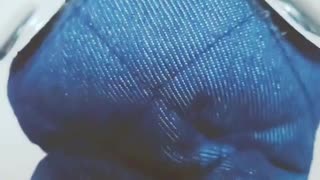 自分の人生