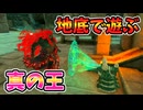 真の王と地底で遊びたい【ティアキン TotK】裏技 バグ 検証 ゆっくり実況 glitch