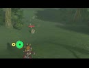 【ブレワイ】依頼を受けて、骨ボコの骨でホームランコンテストをしてみた【ドリカラ】【ボイスピ実況,ゼルダの伝説,ブレスオブザワイルド,BotW,バグ,検証 】
