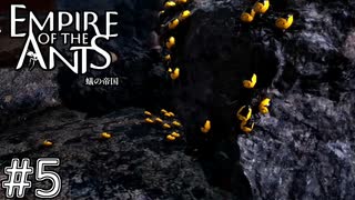 真夜中に背後から子蜘蛛　「EMPIRE OF THE ANTS ～蟻の帝国～」　＃5