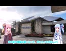 【ボイロVlog】トランク一つだけで浪漫飛行へIn the sky【沖縄／美ら海水族館】