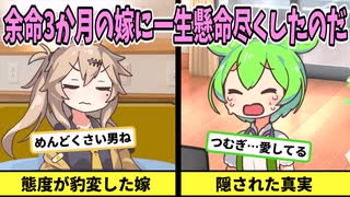 【アニメ】余命3か月の嫁に一生懸命尽くしたのだ【ずんだもん】【2ch】【VOICEVOX】【感動】