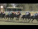 2013 ダイヤモンドＳ(GIII)　アドマイヤラクティ