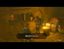 #109【ゼルダの伝説 ティアーズ オブ ザ キングダム】ワビスケは愛があれば牢屋でもへっちゃらです！