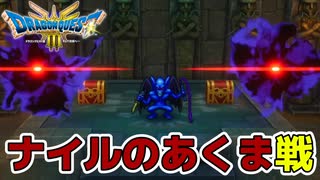 【ドラクエⅢ】ナイルのあくまを始末する ※ネタばれあり