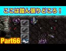 ああもう最悪だ！たつもちのトルネコ2実況Part66