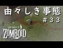 #３３【ビルド４２】由々しき事態【ProjectZomboid】