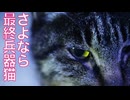 公園の門番猫、ある事を人間に託して姿を消す