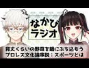 道の駅での遊び方指南～暇な学生編～/あえて言おう、プロレスが一番すげーんだよ！ #16 【なかびラジオ】