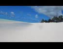 遭難して無人島に打ち上げられた気持ちになれる動画