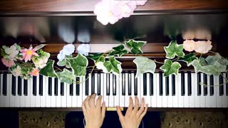 【Day75】-『あの星が消えた』 薮崎太郎の一日一曲アンビエント