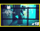 【Stray】みんなの元に帰りたくて.....#18【ゲーム実況】