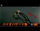バイオハザード5　☣12