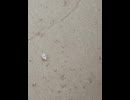 76170955634__ECA2EC5F-D0FC-4E73-B0F6-787E9D11A6F1