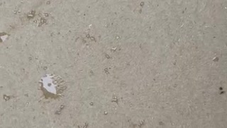 76170955634__ECA2EC5F-D0FC-4E73-B0F6-787E9D11A6F1