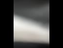 76171025816__D9AE4ECB-2EAB-4ADF-9546-B8F48FAD8324