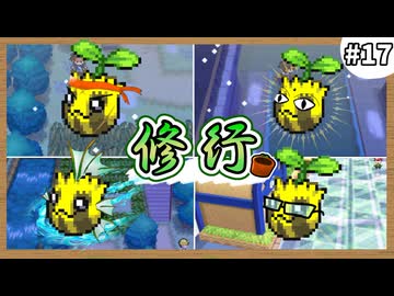 【実況】ヒマナッツがひんしになる度に『現実で向日葵を育てる』縛り #17（BW2版）