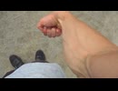 パンプした右の前腕　おっさんの腕